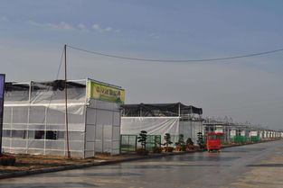 農(nóng)村這四類建筑會(huì)被清理，涉及范圍廣，快看是否影響你家